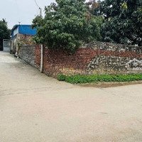 98M Lô Góc 2 Mặt Tiền Đất Kinh Doanh Nhỏ Đc Tại Xã An Tiến-Mỹ Đức.(Nhà Đối Diện Bán Tạp Hoá- Phân