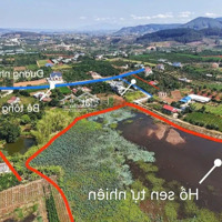 Bán Lô Đất View Đẹp Tại Vủng Ven Thành Phố Đà Lạt