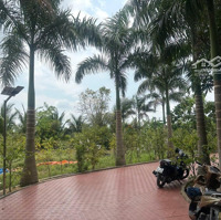 Bán Nhà Vườn Nghỉ Dưỡng 6.450M2 Gần Bv Nhi Đồng Bình Chánh