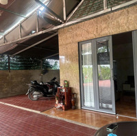 Bán Nhà Vườn Nghỉ Dưỡng 6.450M2 Gần Bv Nhi Đồng Bình Chánh