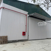 Chính Chủ Cho Thuê Nhà Xưởng Ngã Tư Sơn Đồng ,Hoài Đức.dt 500 Đến 1200M2.Giá 65 Ngàn/M2.Xuất Vat