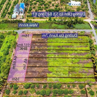 Đất Vườn Được Lên Thổ Đường Lớn Thuận Tiện Giá Đầu Tư Khu Vực Dân Đông Thuận Tiện Làm Nhà Vườn