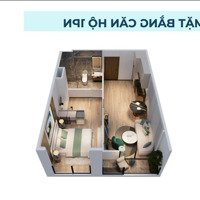 Căn Hộ Chung Cư Đẹp Sắp Mở Bán Của Tập Đoàn Lớn Tại Đường 3/2, Phường 11, Vũng Tàu, 2,8 Tỷ, 35M2