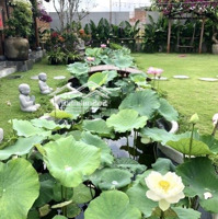 Bán Biệt Thự Đảo Nổi, Phường Khuê Trung, Quận Cẩm Lệ, Thành Phố Đà Nẵng