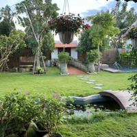 Bán Biệt Thự Đảo Nổi, Phường Khuê Trung, Quận Cẩm Lệ, Thành Phố Đà Nẵng