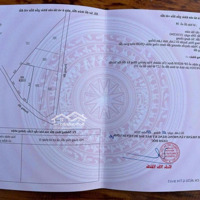 Bán Đất Ở Lâm Đồng, Đinh Trang Hòa