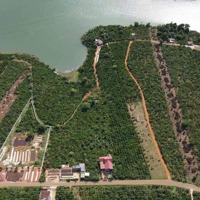 Bán Đất Ở Lâm Đồng, Đinh Trang Hòa