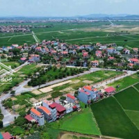 Bán Đất Phố Bùng Xã Bình Dương Huyện Gia Bình Bắc Ninh
