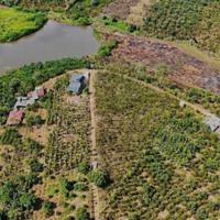 Bán Đất Giá Thấp 1131,8M2, Giá Thấp Và Sổ Riêng