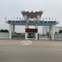 Chính Chủ Bán Liền Kề Siêu Phẩm Hoa Hậu Kđt Cienco 5 Mê Linh, 100M2, Trục Chính Đường 24M, Giá Tốt