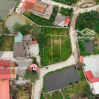 Lô Góc Cực Đẹp Ngay Gần Chợ Cá Kiến Quốc