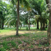 Bán Lô Đất Biệt Thự 300M2 View Hồ Sen Công Viên Đường Số 1 Kdc Five Star 1 Chỉ 8 Tỷ