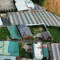 Bán Gấp Lô Đất Giá Rẻ Hơn Thị Trường 30% Sổ Riêng Sang Tên Công Chứng Trong Ngày Tp Đà Lạt