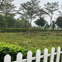 Cần Bán Nhanh Lô Góc 317M2 Có 3 Mặt Tiền Tại Đồng Vàng - Phú Mãn. Bao Giá. Liên Hệ: 0989152679
