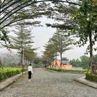 Cần Bán Nhanh Lô Góc 317M2 Có 3 Mặt Tiền Tại Đồng Vàng - Phú Mãn. Bao Giá. Liên Hệ: 0989152679
