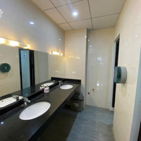 Sàn Văn Phòng 220M² Thông Sàn View Đẹp, Tòa Nhà Mới Giá Tốt 36 Triệu