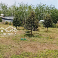 Đất Thổ Cư Tại Đường Dh704, Xã Định An, Dầu Tiếng, Bình Dương, Giá Tốt 1,85 Tỷ, 2200M2