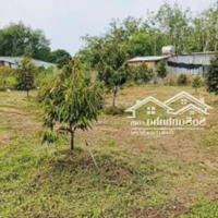 Đất Thổ Cư Tại Đường Dh704, Xã Định An, Dầu Tiếng, Bình Dương, Giá Tốt 1,85 Tỷ, 2200M2