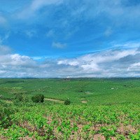 Đất Nghỉ Dưỡng 2.500M2 Giá Chỉ 1 Tỷ 100 Cả Lô Thôn 9 Lộc Ngãi, Huyện Bảo Lâm