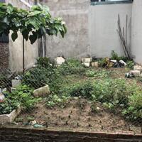 Bán đất đẹp tại Mai Lâm, Đông Anh – mặt tiền 5.5m – giá 4.35 tỷ