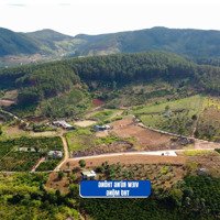 Cơ Hội Vàng Đầu Tư Đất Gần Đà Lạt - View Rừng Thông - Sổ Riêng - Giá Chỉ 520 Triệu