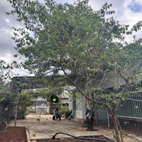 Bán Nhà Tặng Vườn Cây Ăn Trái Gần Sân Bay Long Thành, Sổ Đỏ Chính Chủ, Ngân Hàng Hỗ Trợ Hơn 50%