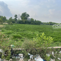 Bán Đất 2199M2 Tại Phạm Thái Bường, Phước Khánh, Nhơn Trạch, Đồng Nai, Mặt Tiền Rộng 36M