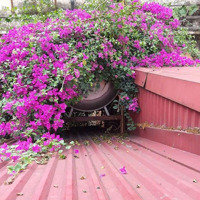 Cho Thuê Nhà Mặt Phố Trần Quang Khải, Dtsd 65M2, Hoàn Kiếm, Hà Nội