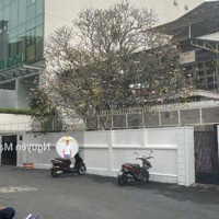 Bán Gấp Nhà 3 Tầng Hẻm Vip Nguyễn Văn Trỗi Ngay Qk7, Tphcm:diện Tích500M(20X25M). Qhxd Hầm 5 Tầng