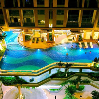 Giỏ Hàng 50 Cđt Phú Đông Sky Garden Giá Chỉ Từ 3 Tỷ - Sổ Hồng Trao Tay