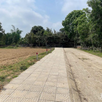 Hơn 300 Triệu Sở Hữu Ngay Lô Đất 125M2 Full Thổ Cư