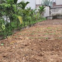 Bán Đất Quốc Lộ 6, 557M2, Giá Cực Chất 13 Triệu / M2, Xã Thanh Bình, Chương Mỹ, Hà Nội