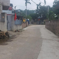 Bán 320M2, Lô Góc Trục Chính Cò, Yên Bình, Thạch Thất. Tiềm Năng Tăng Giá Lớn. Giá Đầu Tư
