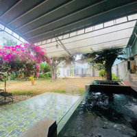 Bán Nhà Vườn 975M2 Đường Cách Mạng Tháng 8 - Tp Pleiku, Gia Lai, Cách Quảng Trường Đại Đoàn Kết 1Km