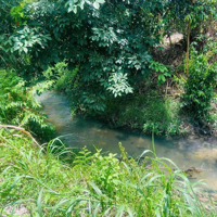 Đất Sào View Suối Cực Mát Tại Phú Giáo, Bình Dương - 1.704M2 Bán Đủ 900 Triệu Đi Đâu Tìm Được