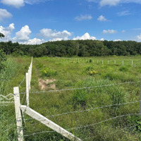 Đất Sào View Suối Cực Mát Tại Phú Giáo, Bình Dương - 1.704M2 Bán Đủ 900 Triệu Đi Đâu Tìm Được