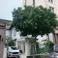 ( Hót ) Ngộp Bank Bán Gấp Nhà Hẻm 8M Nguyễn Bỉnh Khiêm Q.1 Trệt Lầu St Diện Tích: 13M X 15M Giá Bán 39.5Tỷ