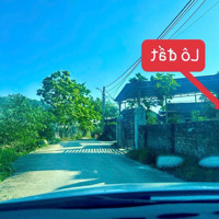 Cực Phẩm Nghỉ Dưỡng - Tại Tây Thiên - Tam Đảo View Cánh Đồng Cực Đẹp Diện Tích: 344M2 (Tc: 100M2)