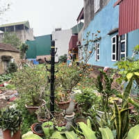 Bán Đất Thổ Cư - Đặng Xá, Gia Lâm - Tiềm Năng Lên Quận, Đầu Tư Sinh Lời Cao