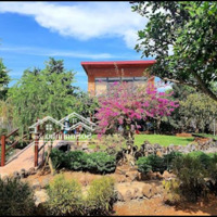 Bán Đất Tại Xã La Ngà, Định Quán, View Siêu Đẹp Giá Siêu Hời 853 Triệu, 1000 M2