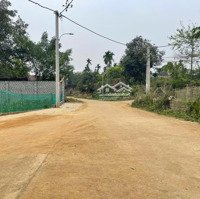 Rẻ Nhất Phú Mãn Anh Chị Ạ Chủ Cần Tiền Bán Gấp 95M2 Full Thổ. Đường Thông, Khuôn Thửa Đẹp