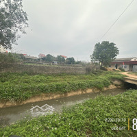 Bán Đất Lương Phong, Hiệp Hoà, Bắc Giang, 486,8M2 Hàng Hot