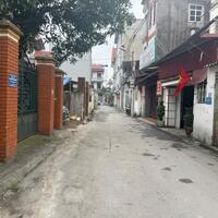 Cần thanh khoản gấp mảnh đất thổ cư đường thông ô tô tại trung tâm TDP Bình Minh, Trâu Quỳ, Gia Lâm