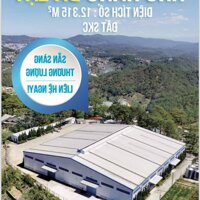 Cho thuê kho 4422m2 (TDT 12.000) TP Đà Lạt