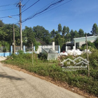 Bán Gấp Đất Tại Bùi Thị Xuân, 2,3 Tỷ, 196M2, Mặt Tiền 9M