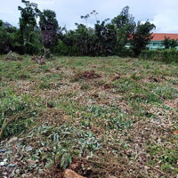 Chủ Gửi Bán 2 Lô Liền Kề Mặt Tiền Tân Long 1, Tân Lợi, Tịnh Biên Diện Tích 352,7M2 Sẵn Thổ Cư