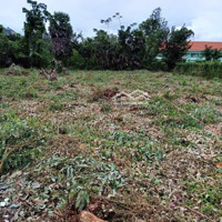 Chủ Gửi Bán 2 Lô Liền Kề Mặt Tiền Tân Long 1, Tân Lợi, Tịnh Biên Diện Tích 352,7M2 Sẵn Thổ Cư