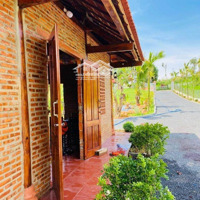Sở Hữu Đất Vườn Trái Cây Có Suối Nhỏ Gần Tp. Hcm Chỉ 860 Triệu/1044M2 Gần Sân Bay Long Thành