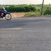 Bán Đất Tại Phạm Thái Bường, Xã Phước Khánh, Nhơn Trạch, Đồng Nai, Mặt Tiền Đường Cầu Cát Lái
