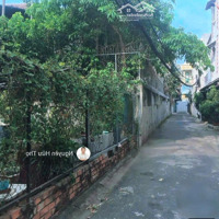 Bán Đất Gần Chợ Đo Đạc, Phường Bình An, Quận 2, 8,1 X 24M Đã Lên Full Thổ Cư | Chỉ 110 Triệu/M²